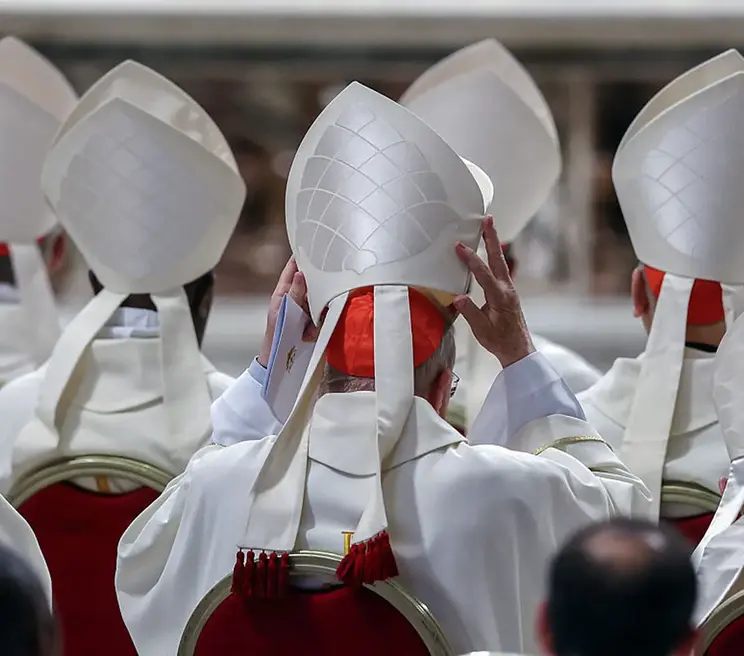 Cardenales vistos desde atrás durante una ceremonia religiosa.